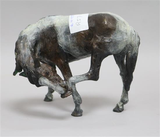 Belinda Sillers. A cold painted bronze figure of a horse scratching, no. 11/24 height 14cm